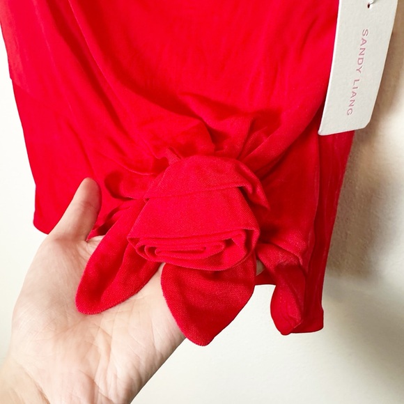 New Sandy Liang Georgia Top Red Rose 3D Floral Applique Medium - Picture 6 of 12